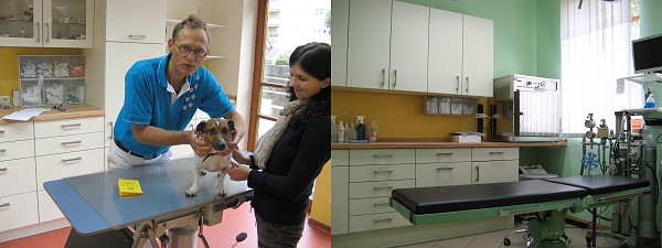 Behandlung - OP
